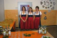 2015_sa_004