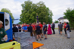 IMGP0071