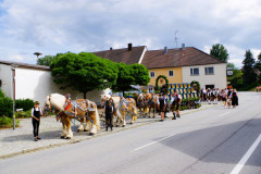 IMGP0106