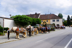 IMGP0107