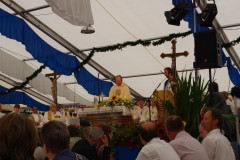 IMGP0294