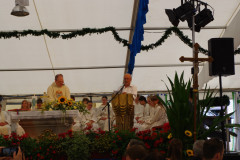 IMGP0295
