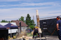 IMGP0358