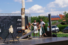 IMGP0419